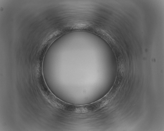 X0000073730591200608171231