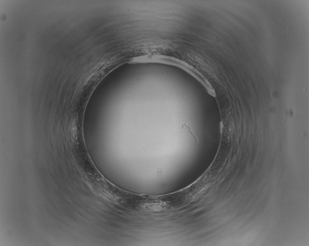 X0000073730595200608171231