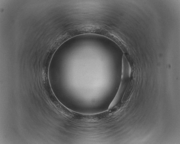 X0000073730597200608171231