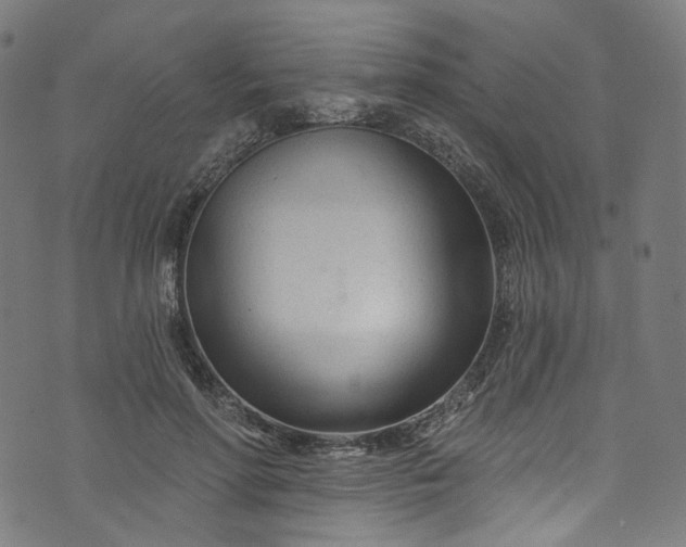 X0000073730598200608171231