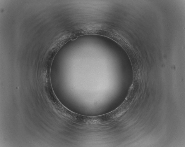 X0000073730599200608171231