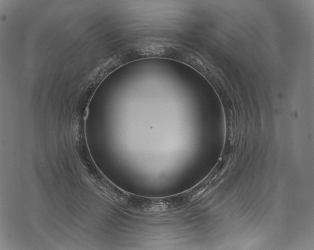 X0000073730600200608171231