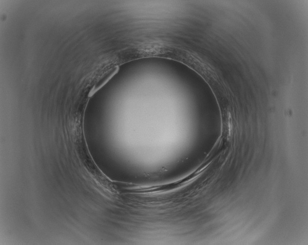 X0000073730601200608171230