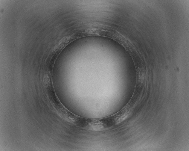 X0000073730603200608171230