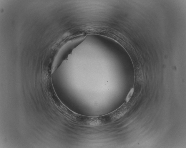 X0000073730604200608171230