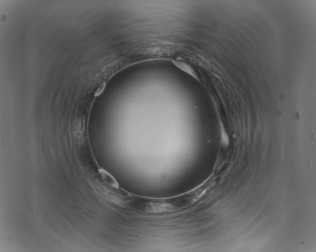 X0000073730605200608171230