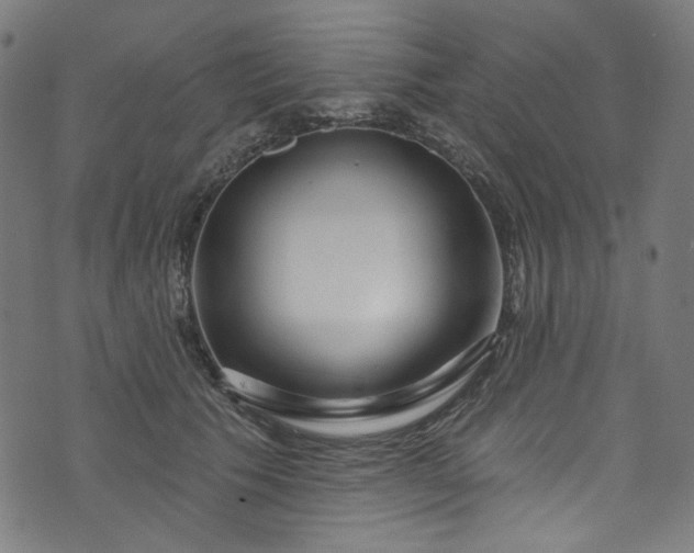 X0000073730609200608171230