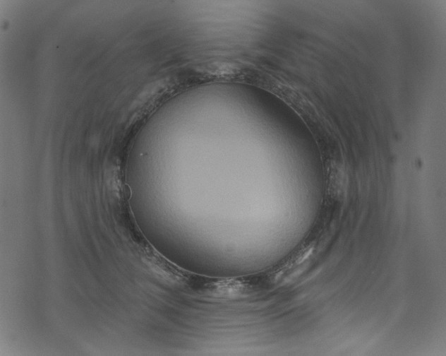 X0000073730612200608171230