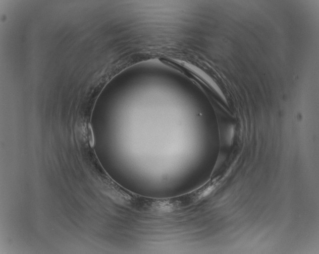 X0000073730613200608171230