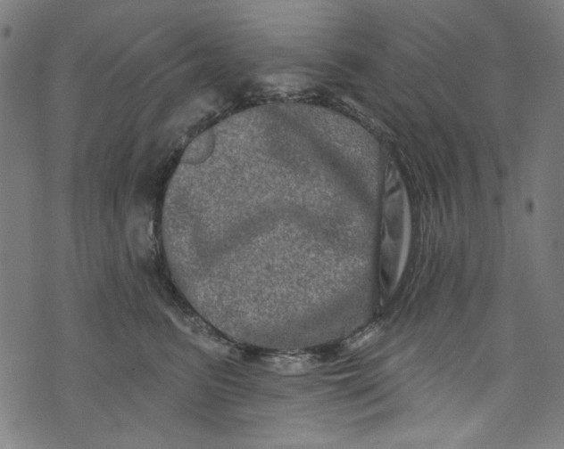 X0000073730615200608171230