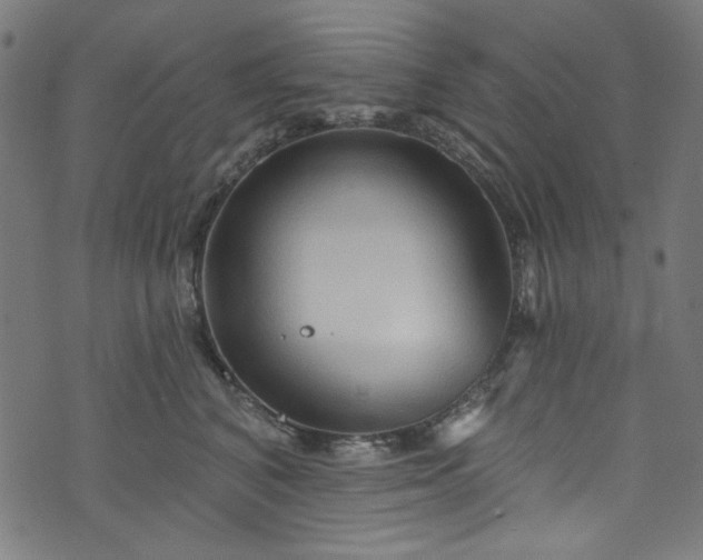 X0000073730616200608171230