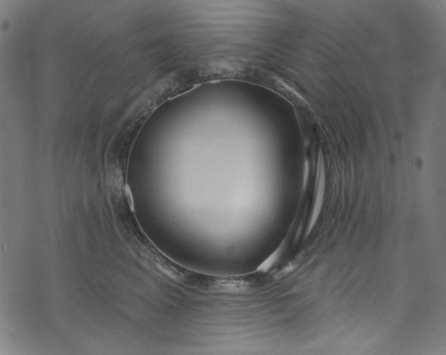 X0000073730617200608171230