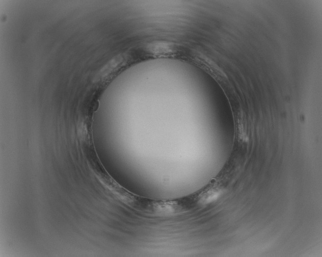 X0000073730618200608171230