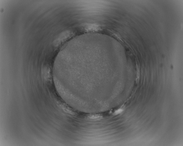 X0000073730619200608171230