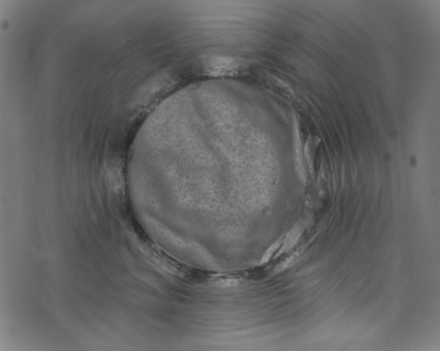 X0000073730620200608171230