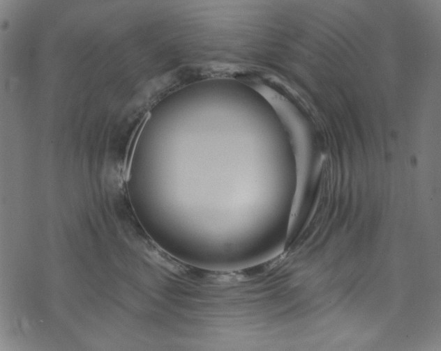 X0000073730621200608171230