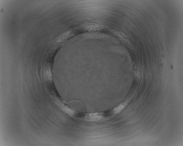 X0000073730622200608171230