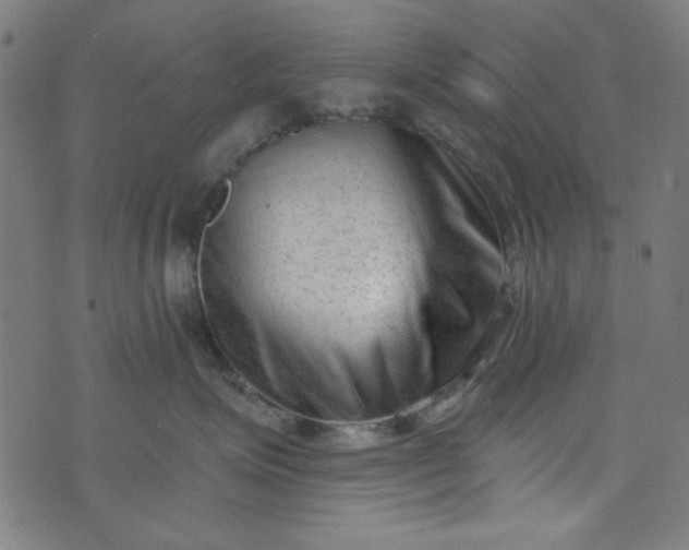 X0000073730623200608171230