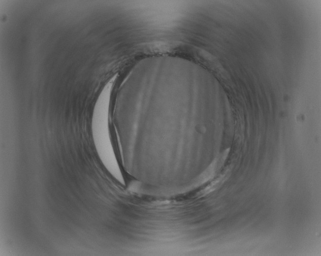 X0000073730624200608171230