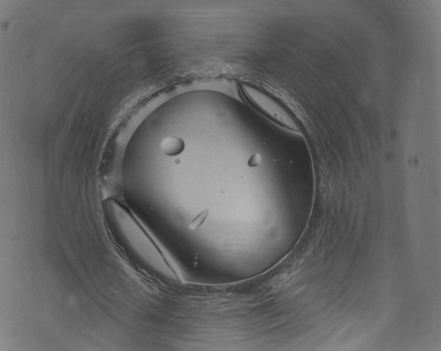 X0000073730626200608171229