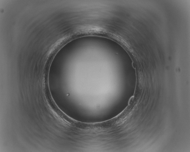 X0000073730629200608171229