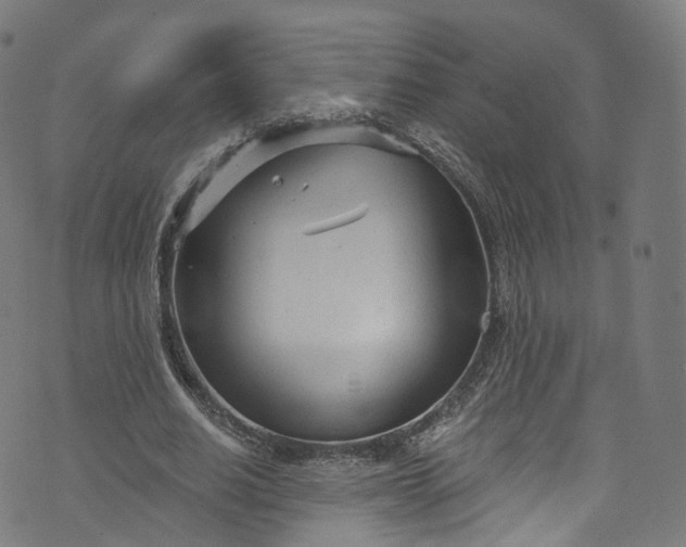 X0000073730630200608171229