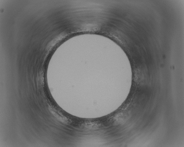 X0000073730632200608171229