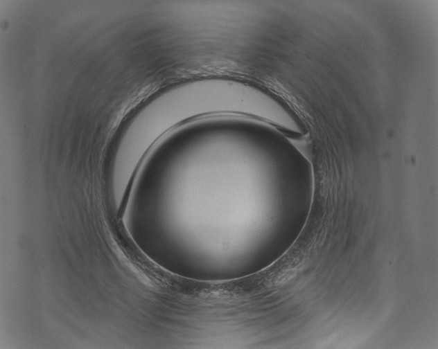 X0000073730634200608171229