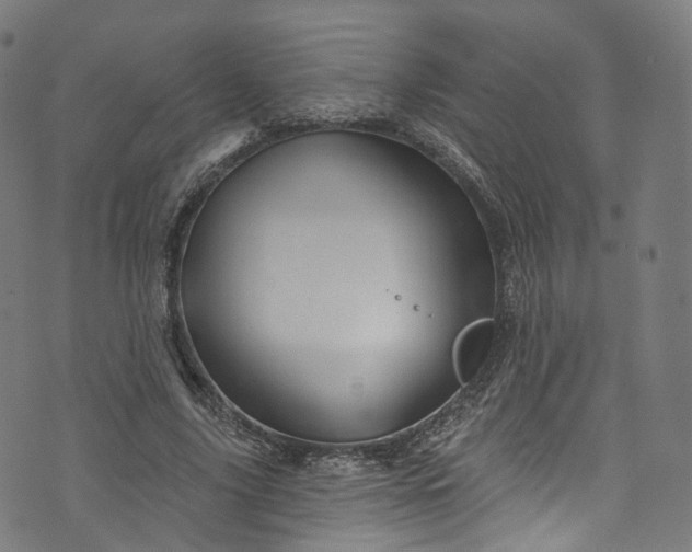 X0000073730635200608171229