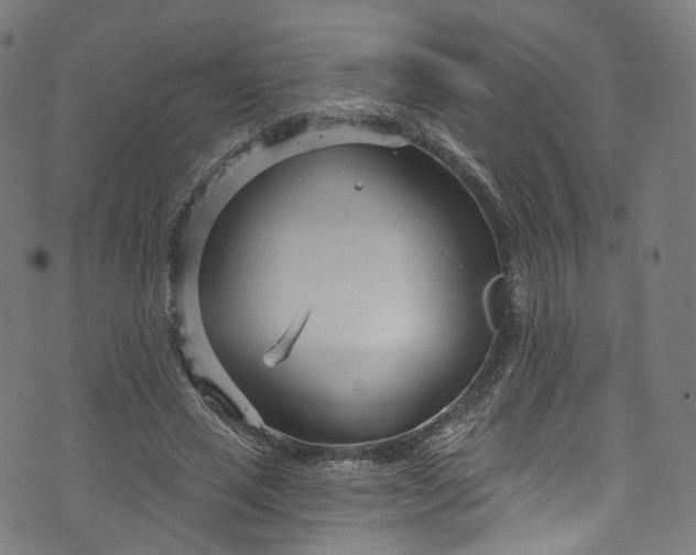 X0000073730637200608171230