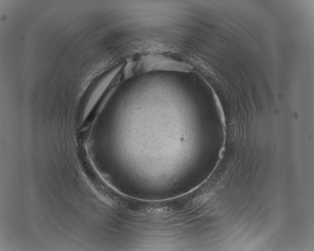 X0000073730638200608171230