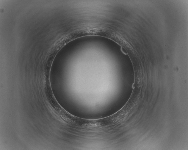 X0000073730639200608171230