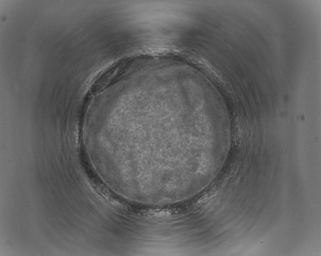 X0000073730640200608171230