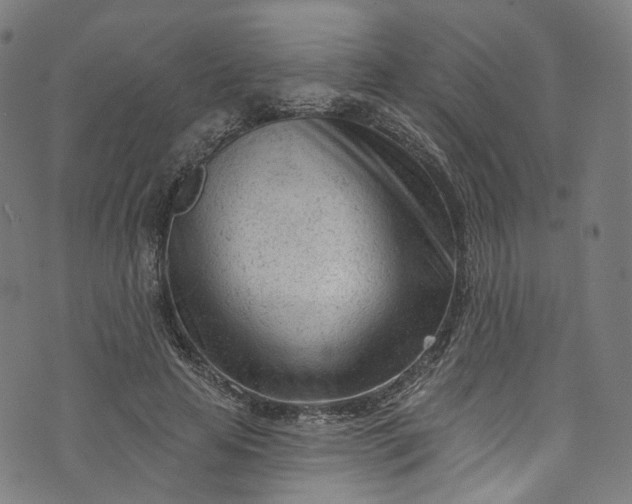 X0000073730641200608171230