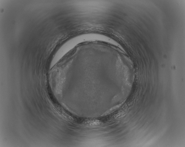 X0000073730642200608171230