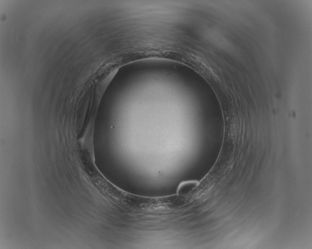 X0000073730643200608171230