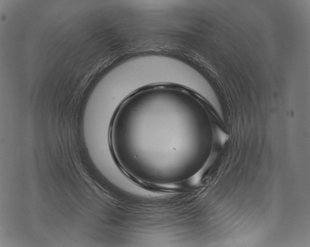 X0000073730644200608171230