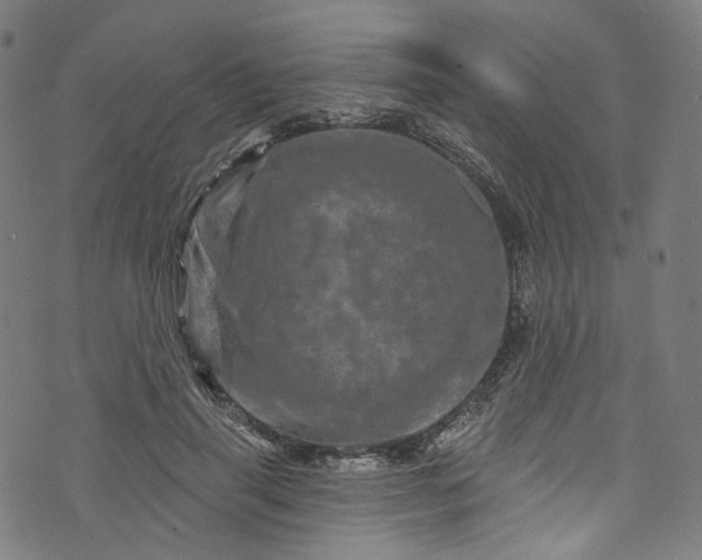 X0000073730645200608171230