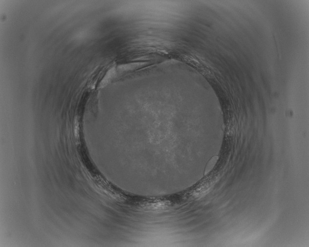 X0000073730646200608171230