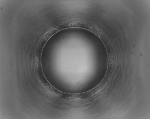 X0000073730648200608171230