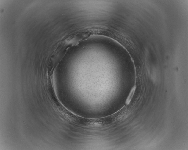 X0000073730649200608171230