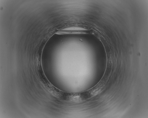 X0000073730651200608171230