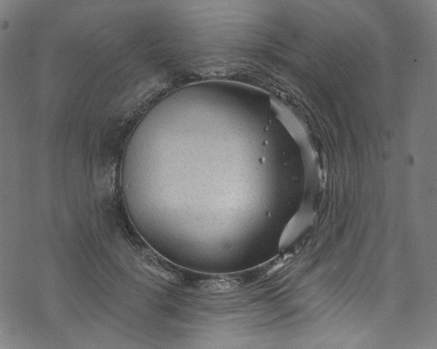 X0000073730652200608171230