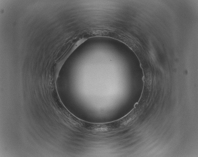 X0000073730653200608171230