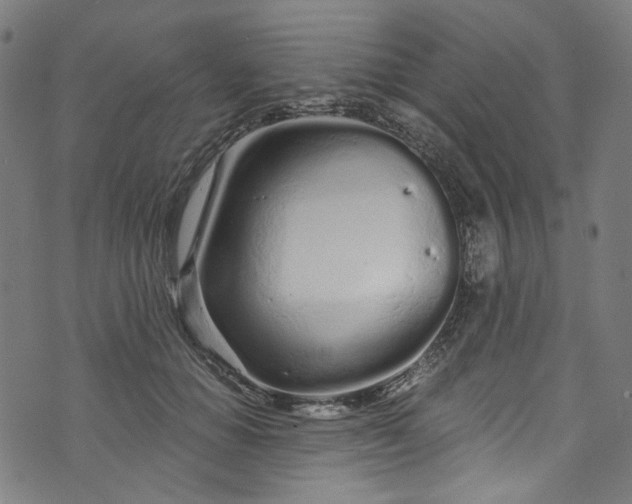 X0000073730654200608171230