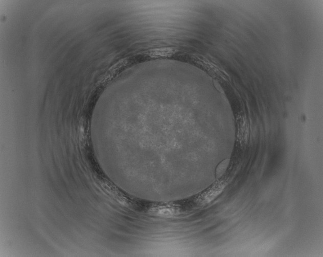 X0000073730655200608171230