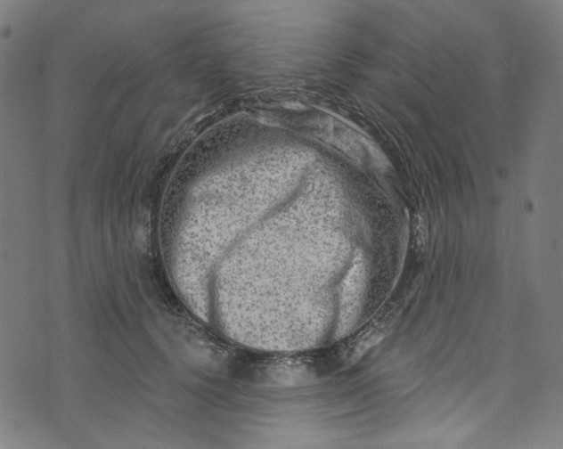 X0000073730656200608171230