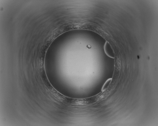 X0000073730657200608171230