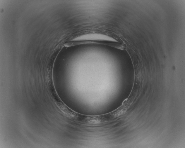 X0000073730658200608171230