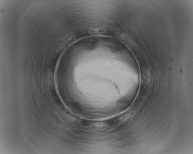 X0000073730659200608171230